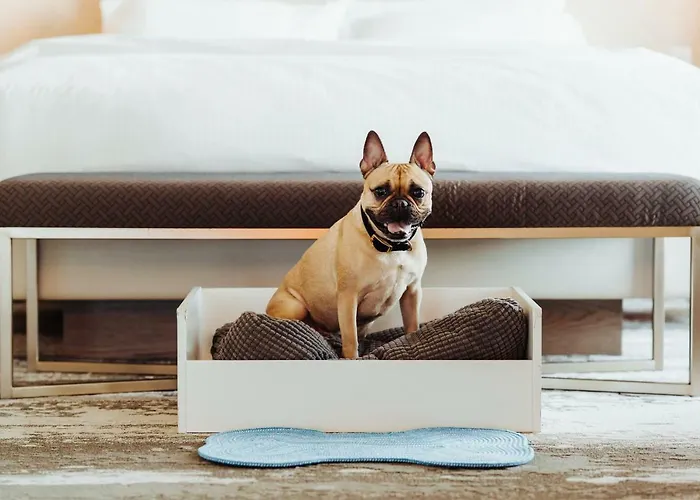 Fairmont Gold At Fairmont Vancouver Airport Richmond